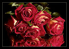 фото "Roses"