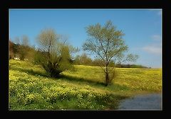 photo "Tableau du Printemps"