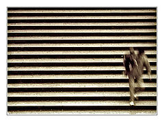 photo "***"