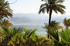 photo "Eilat"