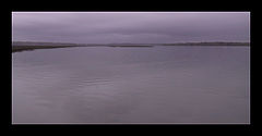photo "the water's dark skin"