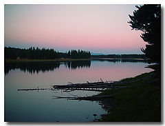 фото "Rose Sunset on Yellowstone River"