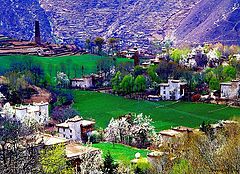 фото "Mountain valley spring"