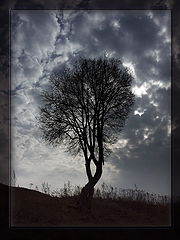 photo "***"