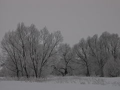 фото "Воспоминание о зиме"