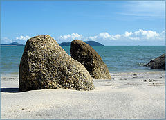 photo "Sharks in the sand ???"
