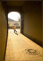 photo "***"