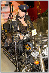photo "The sovereign of roads 2!"
