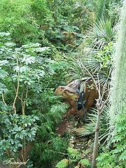 photo "The Lost Continent #2"