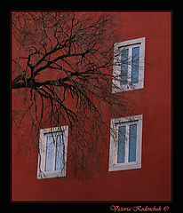 photo "Windows"