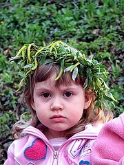 фото "Lazar Sunday"