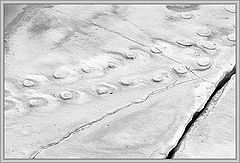 фото "следы"