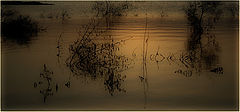 фото "***"