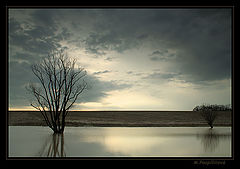 фото "interior world"