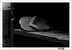 фото "ShbShb"