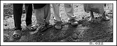 фото "Legs"