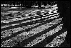 photo "About lines"