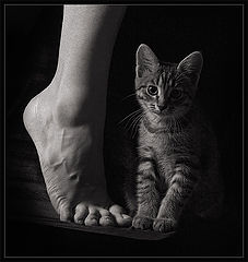 фото "Случайный этюд"