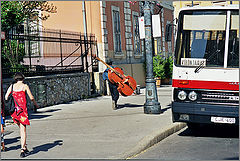photo "Hungarian motives"