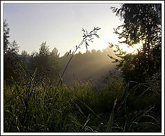 photo "Light and shadow"