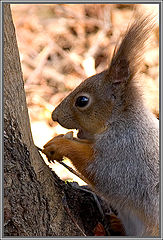 photo "Lucky find"
