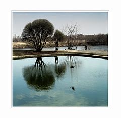 фото "*"