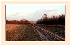 фото "Ченцовский тракт.."