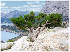 photo "Crimea landscape"