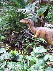 photo "The Lost Continent #4"