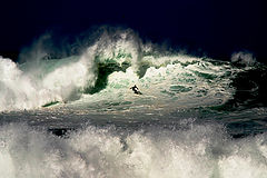 фото "Down In A Whole"