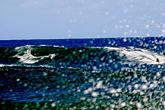 фото "Gettin' Involved"
