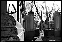 photo "spring"