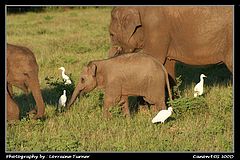 фото "Family Time"