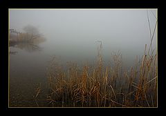 photo "Mystery"