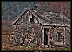 фото "Природный уют"