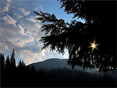 photo "* * *"