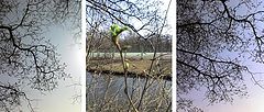 фото "Весна!!!"