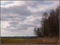 фото "Родные просторы..."