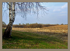 photo "***"