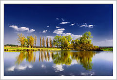 photo "April's blue"