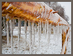 фото "В ледяном плену"