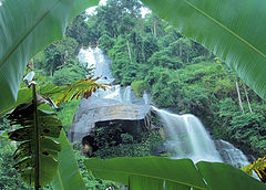 фото "V&#233;u de Noiva"