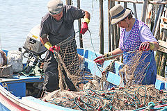 photo "Fishers"