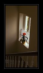 photo "***"