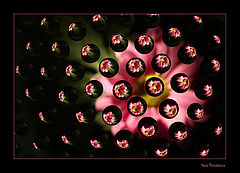 photo "The big explosion"