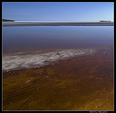 фото "Льдинка"