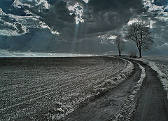 photo "ZX 11"