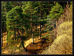 фото "На закате"
