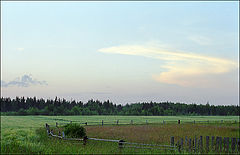 photo "***"