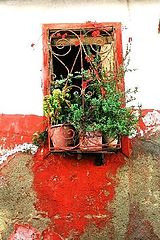 фото "Windows Turkey"